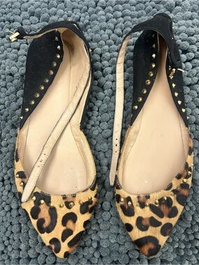 Zara Leopard Print Pointed Toe Slingback Flats with Gold Studs - Black/Leopard